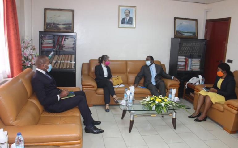 Brazilian Expertise in Cameroon: MINCOMMERCE defines the avenues for collaboration
